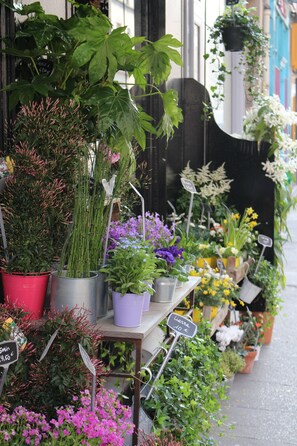 Forskellige potteplanter og blomster står fremstillet uden for en bygning.
