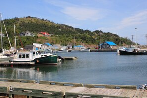 En marina med fortøjede både, en træbrygge og huse på en bakke i baggrunden.