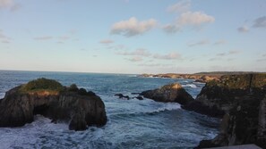 Eine Küstenlandschaft mit Felsformationen und dem Meer.