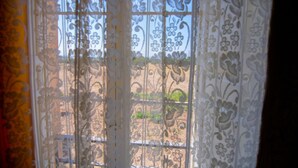 Una ventana con motivos florales y vista a un jardín.