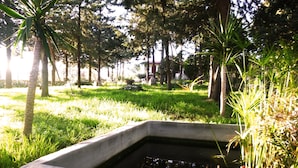 Una estructura de concreto con una fuente de agua, rodeada de césped y árboles.