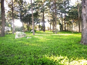 Property grounds