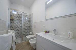 Shower, hair dryer, bidet, towels