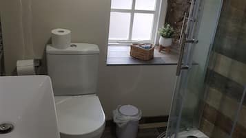 Shower, hair dryer, towels, toilet paper