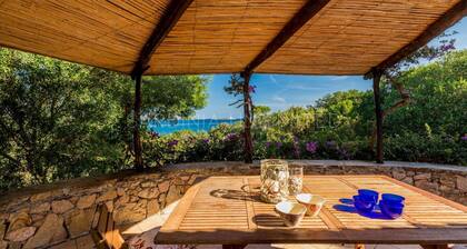 Beach villa in Sardinia for rent: Villa Ammirando Tavolara
