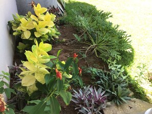 Exterior detail - Cardamon Villa is a luxury 2 bedroom detached villa 150 meter from the beach. (Flic en Flac)