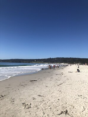 Plage à proximité, chaises longues, serviettes de plage