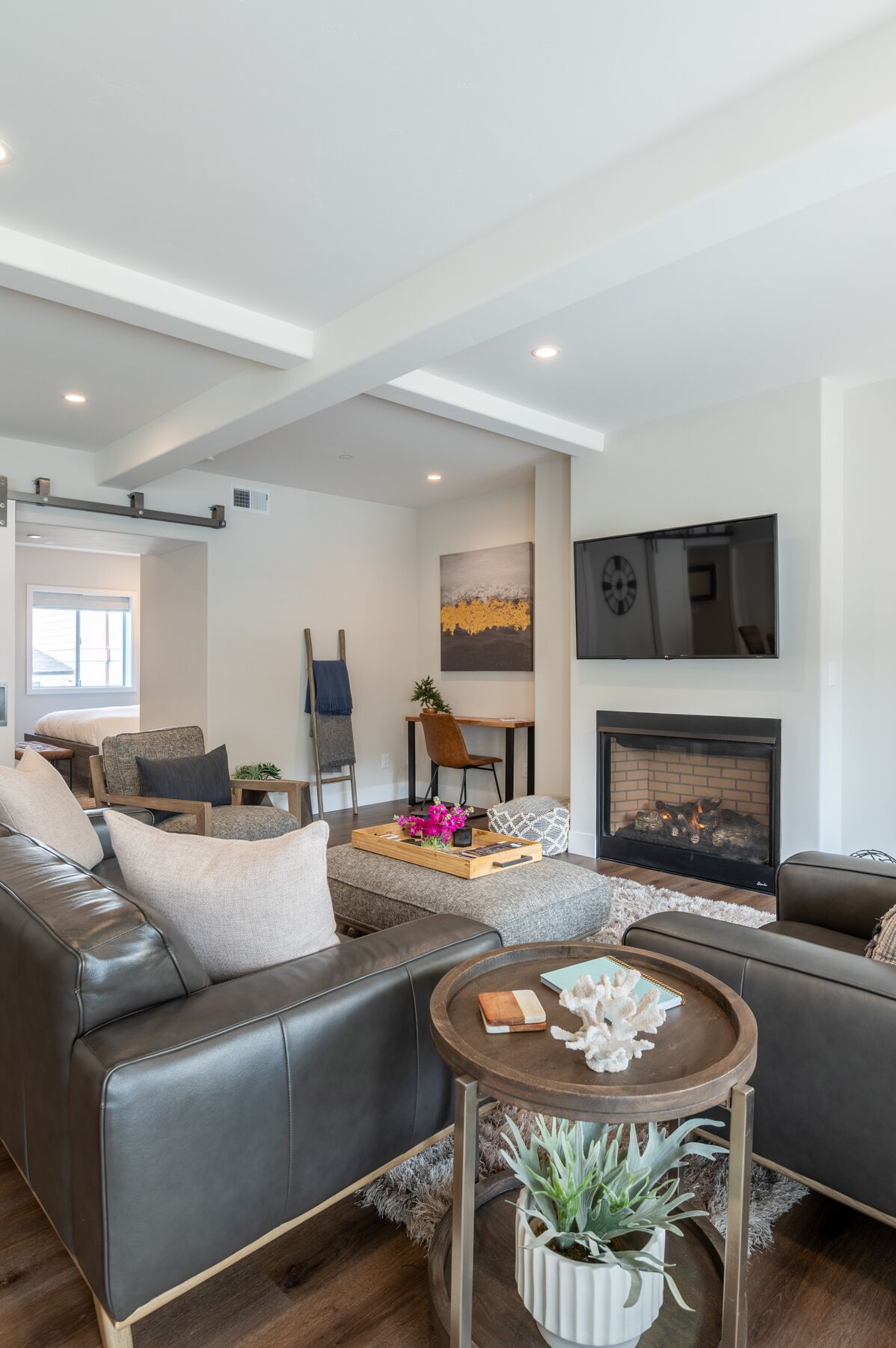 TV connectée, cheminée, livres, chaîne hi-fi