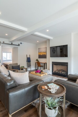 TV connectée, cheminée, livres, chaßne hi-fi