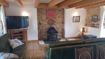 Smart-tv, eldstad, dvd-spelare och böcker