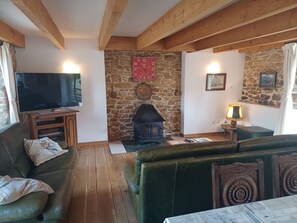 TV connectée, cheminée, lecteur de DVD, livres