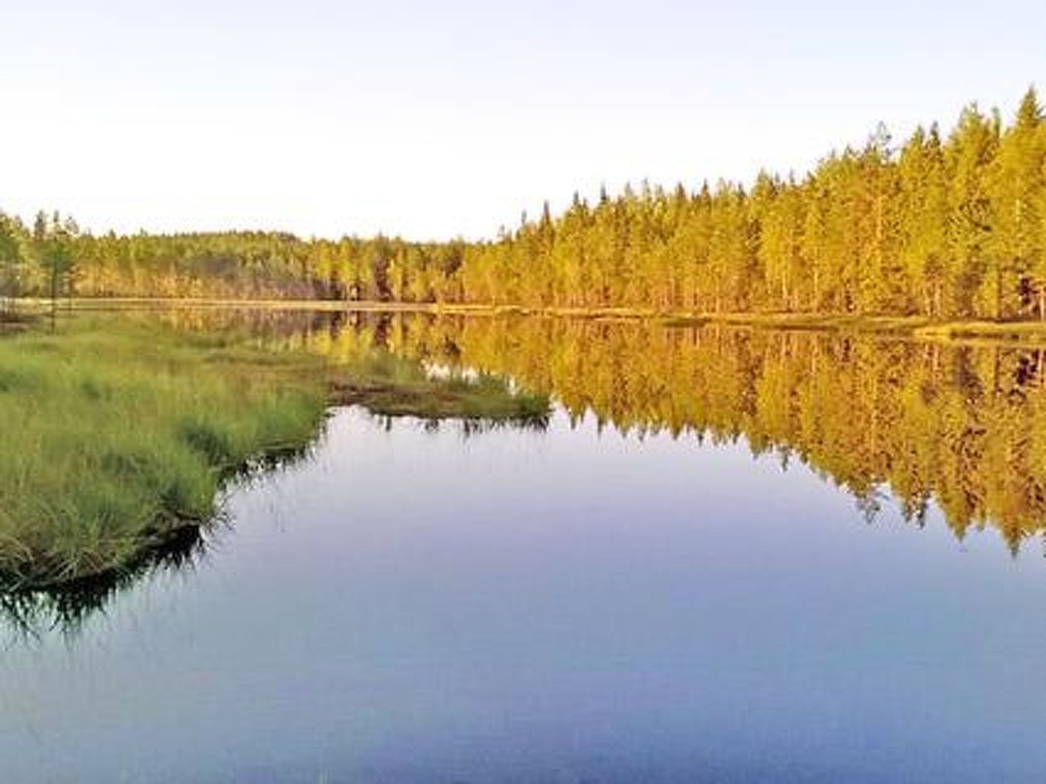 Un lago tranquilo con un bosque denso reflejado en el agua.
