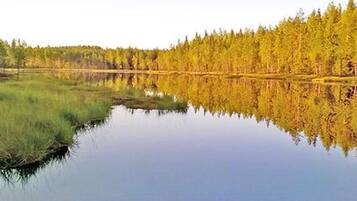 Un lago tranquilo con un bosque denso reflejado en el agua.