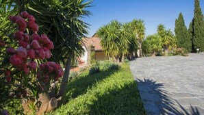 A courtyard with a stone floor, surrounded by palm trees and a building with a tiled roof.