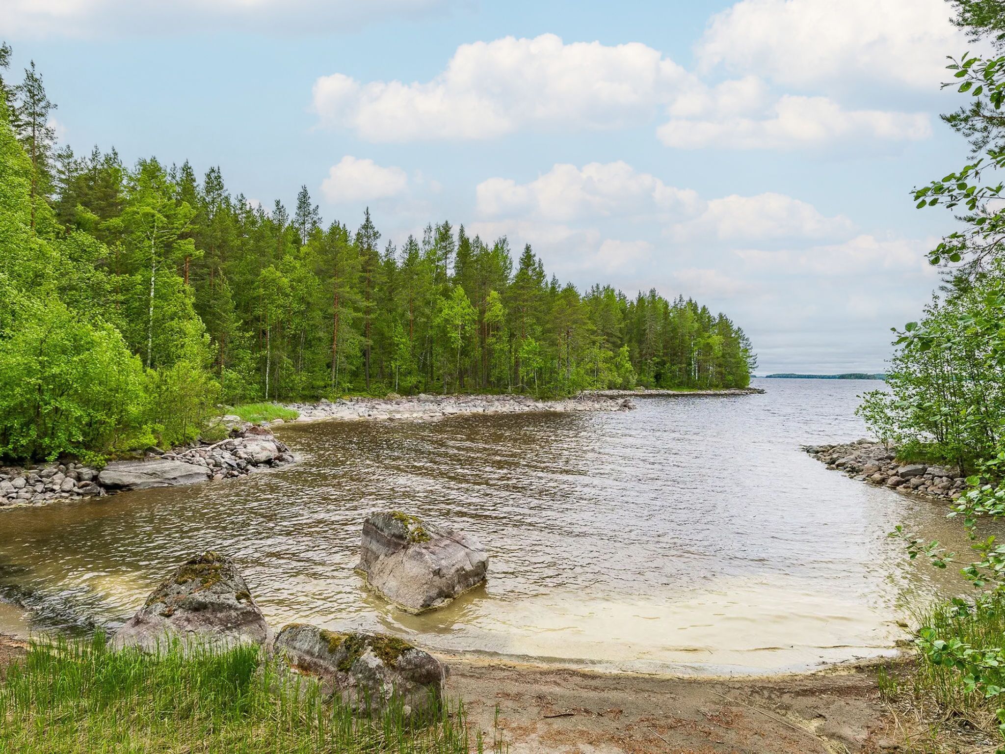 A river with a rocky shoreline, surrounded by dense green trees.