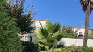 A garden with various plants and a gravel path.