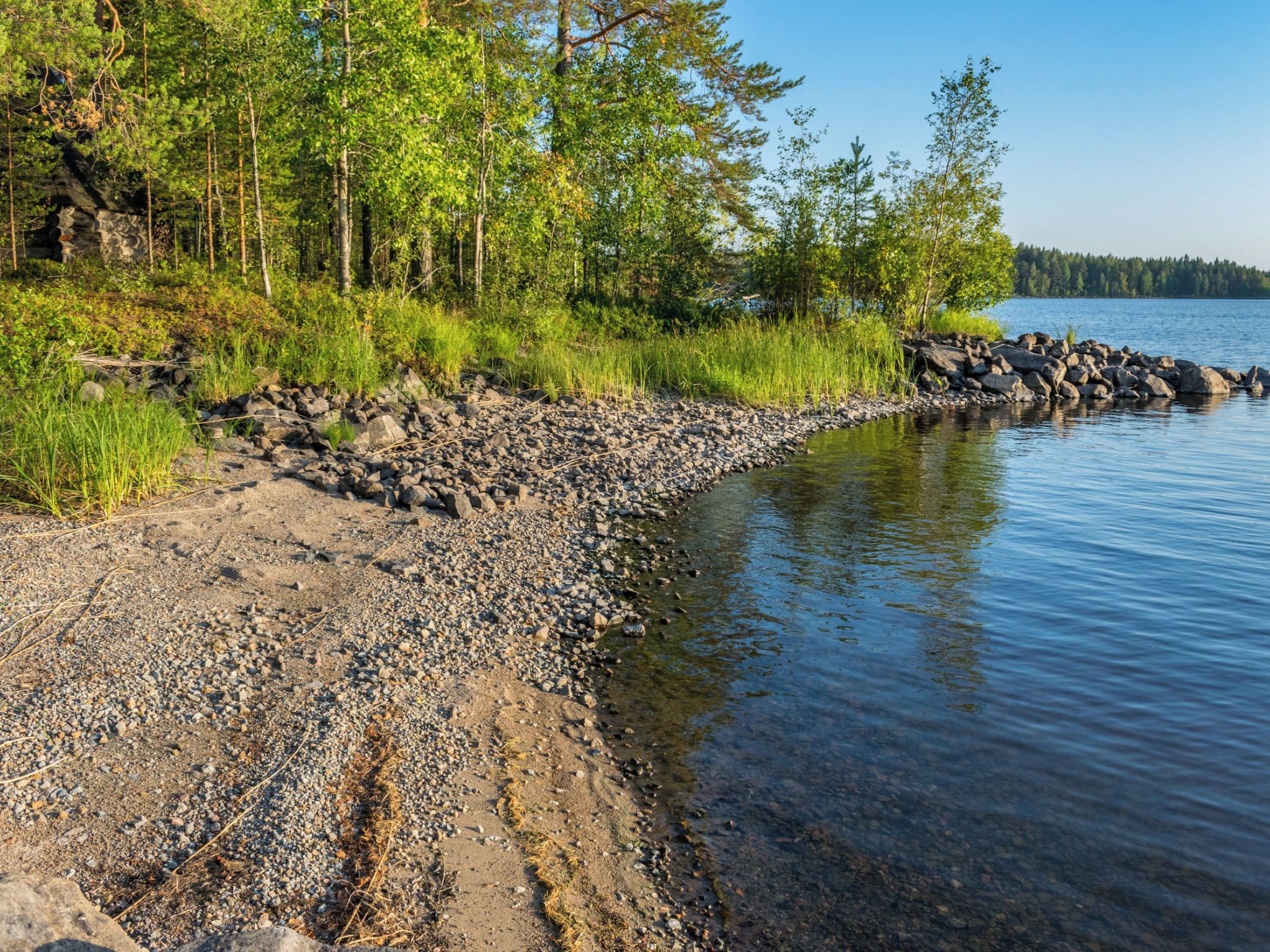 Un littoral rocheux aux eaux limpides, bordé d’une forêt dense.