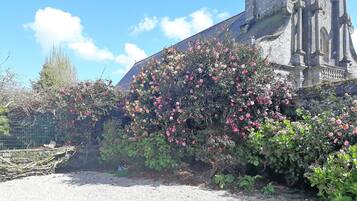 Terrein van de accommodatie