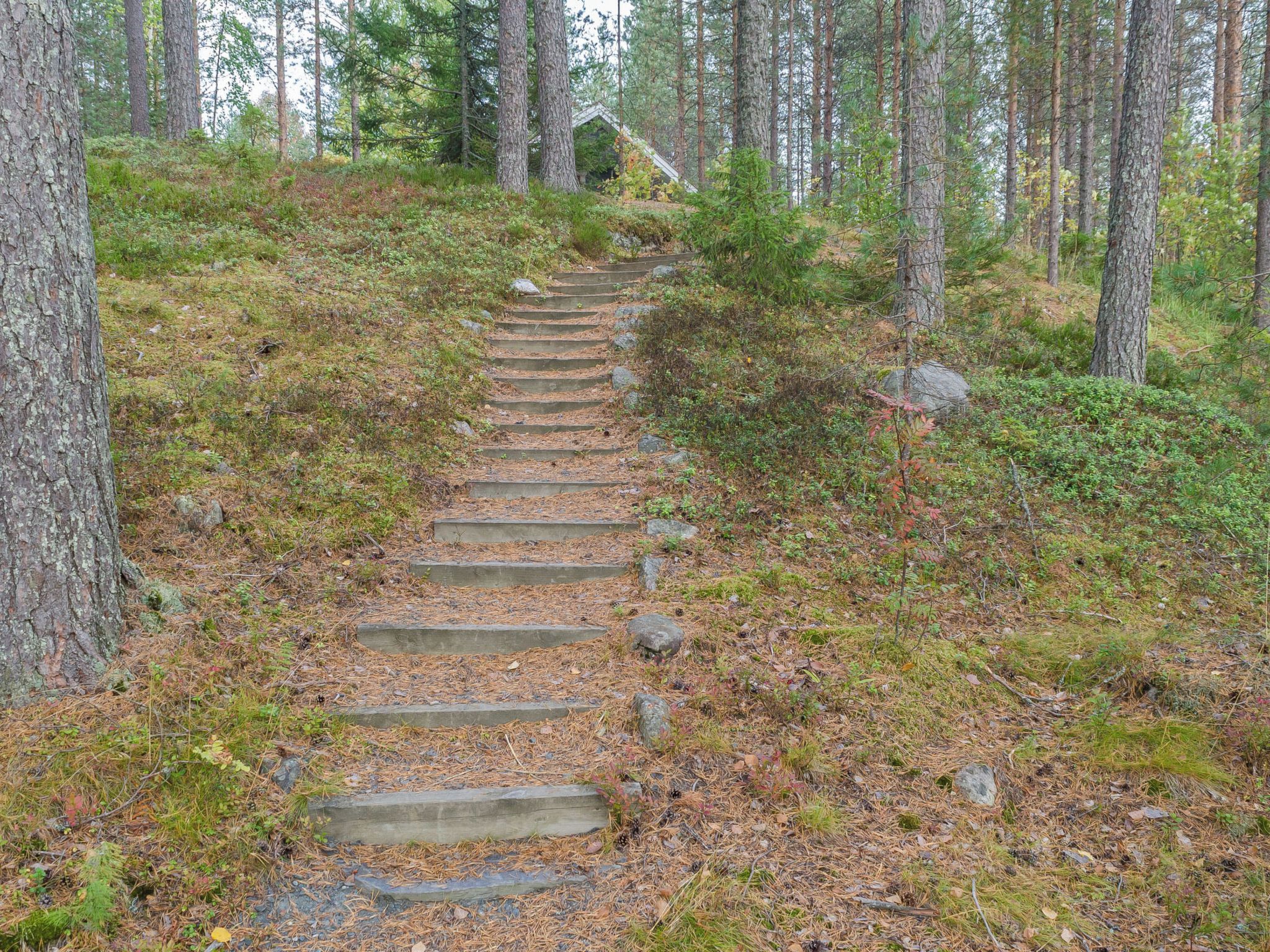 Boendeområde
