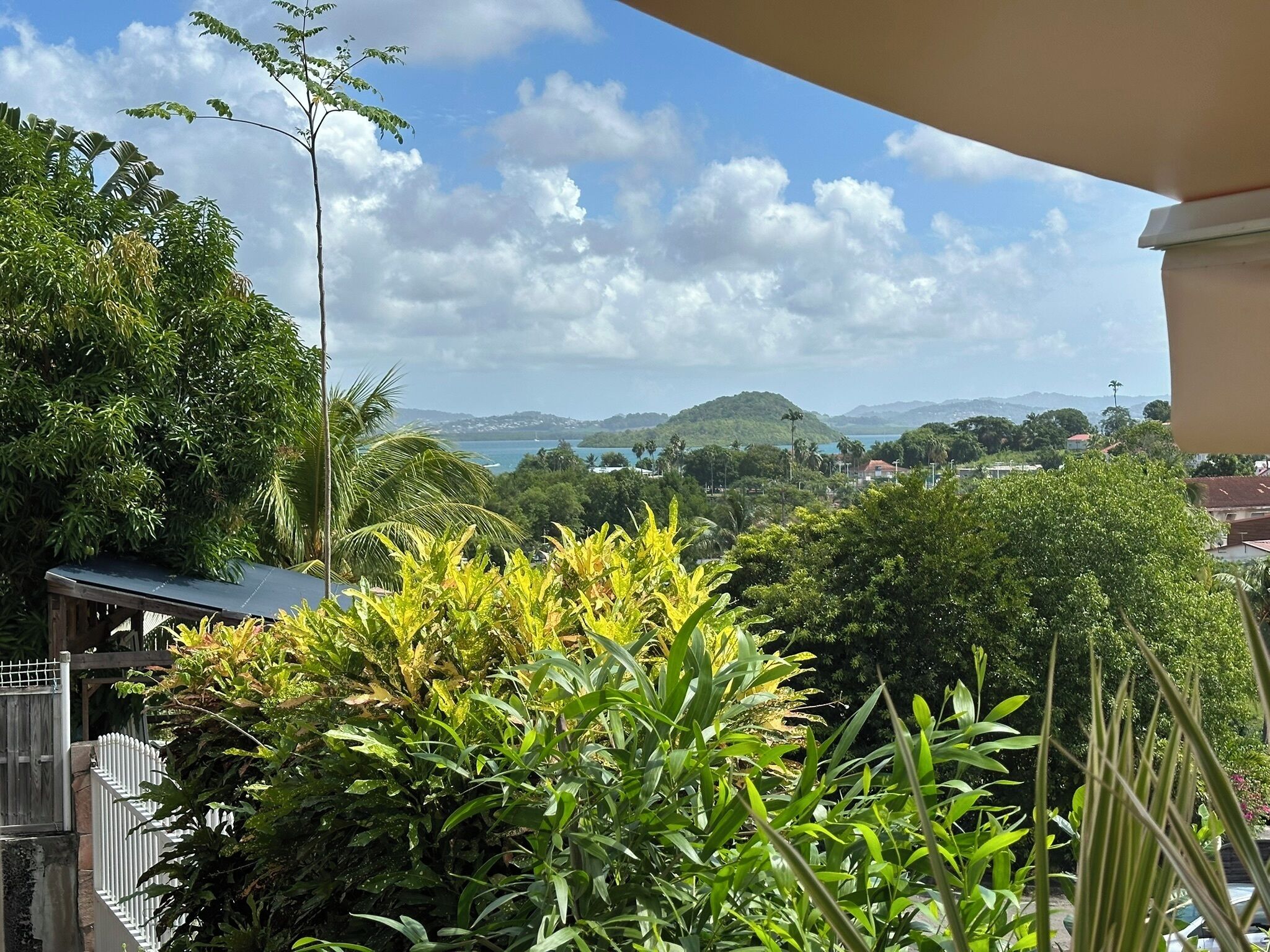 A balcony with lush greenery and a view of a coastal landscape with hills and a body of water.