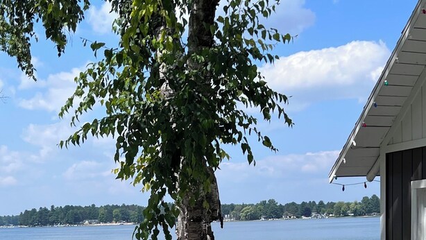 A waterfront property with a patio area featuring outdoor seating and a garden with various plants and flowers. -  Escape to the Holiday House. Serenity of Sunsets, Lakeside boat dock included. (Lewiston)