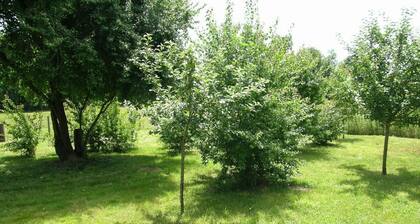 3-Zimmer-Hütte nahe Attraktionen mit Garten & WLAN