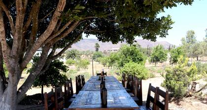 In the Heart of the Valle...Casa DaNik Cabin A