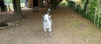 Mini Farm Cottage, Pets Welcome, Wifi, Garden, 4-6 Guests