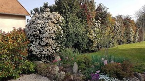 A garden with a variety of plants and a gravel path. - Renovated countryside family cottage with garden (Cindré)