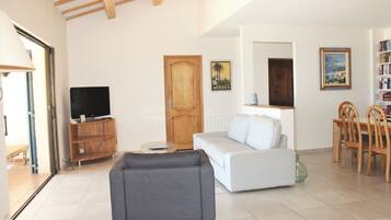 TV connectée, cheminée, livres, chaîne hi-fi