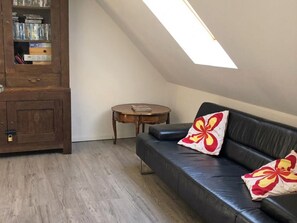 TV, fireplace, video games, DVD player