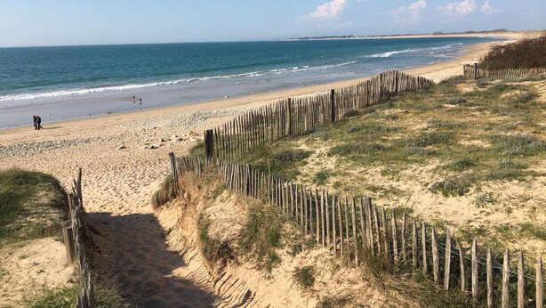 A sandy beach with a wooden fence and a clear view of the ocean.