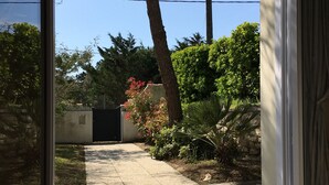 A view through a glass door into a backyard with a paved path, a tree, and a stone wall.