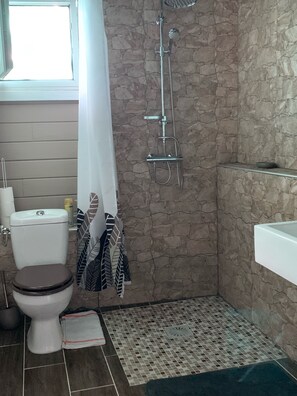 Een badkamer met toilet, douche en wastafel.