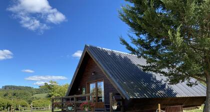 Family chalet 10 min from Vichy, pets allowed