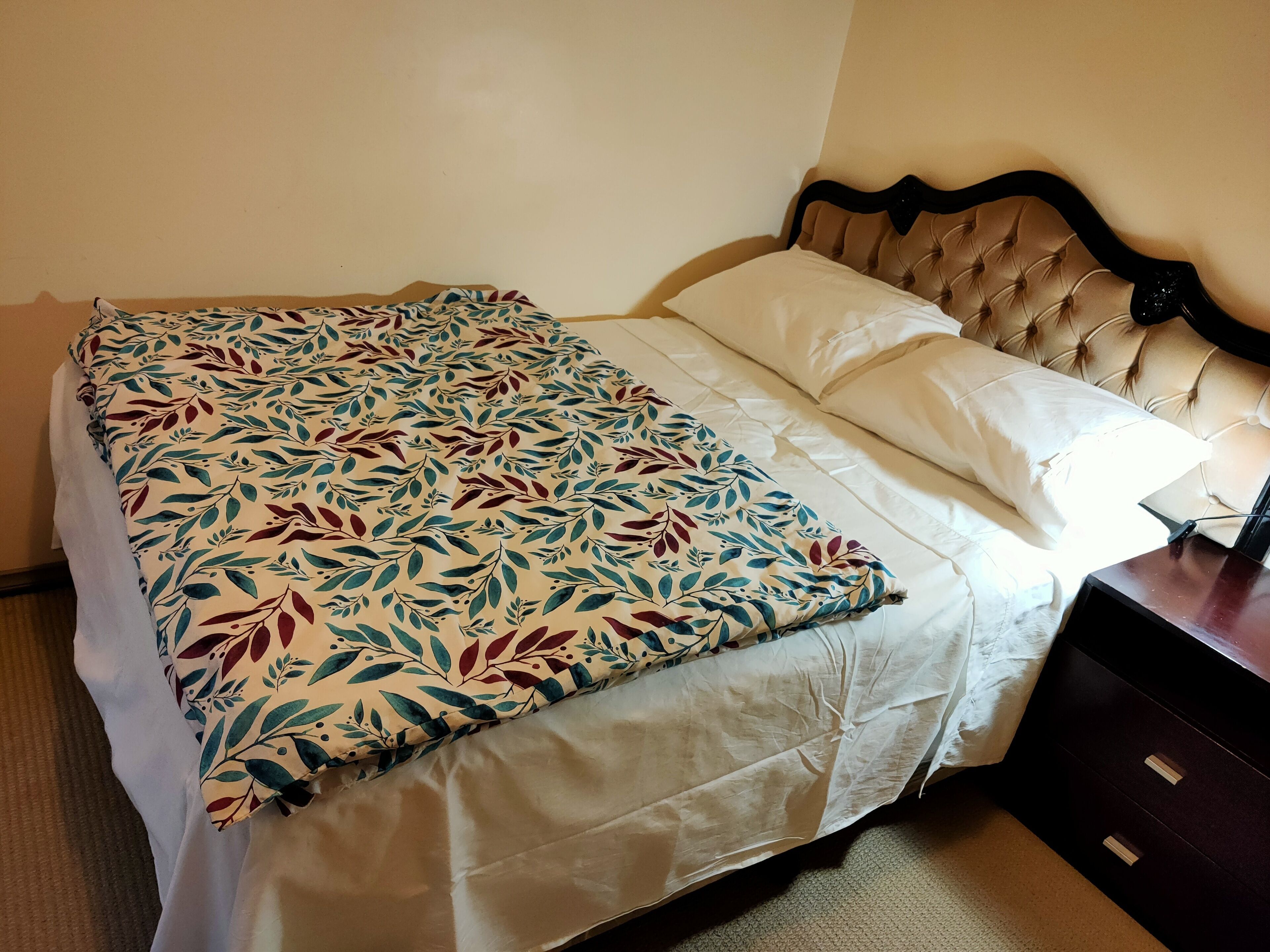 Holiday Home within walking distance from UniSA & Mawson Lakes Business Hub.  — image 13