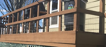 Sage House- in town with LOTS of space