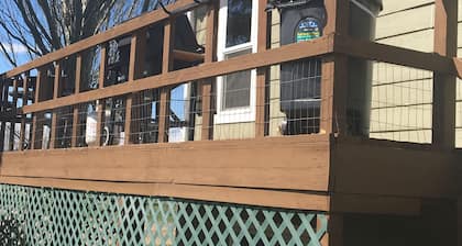 Sage House- in town with LOTS of space