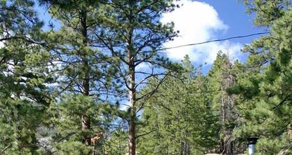 Fall River Cabin - dog friendly