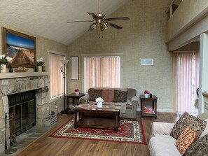 TV, fireplace, books