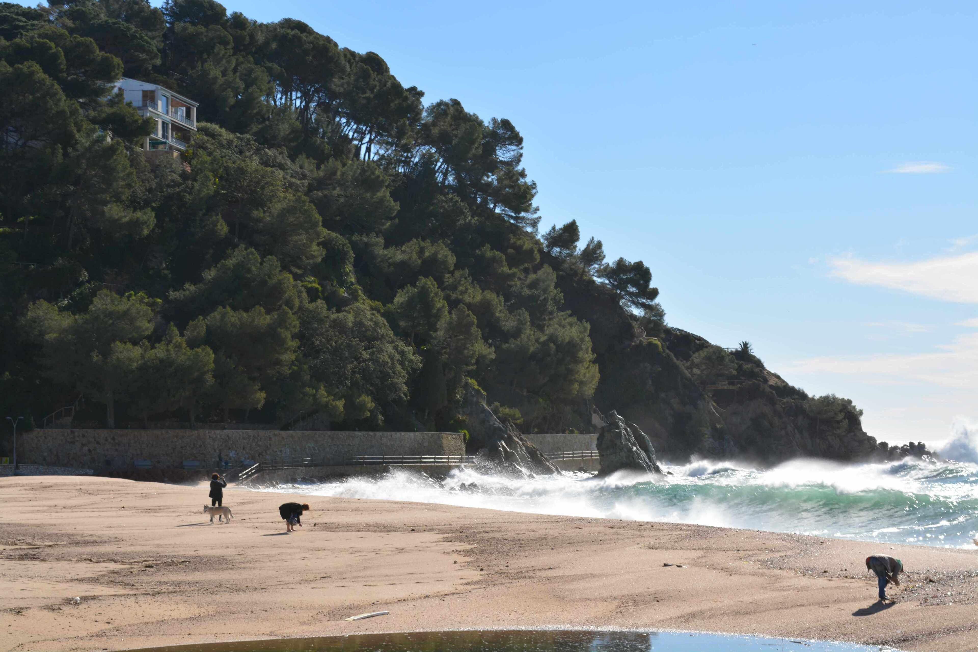 Ein Strand mit brechenden Wellen, eine Person, die einen Hund ausführt, und ein Haus auf einem Hügel im Hintergrund.