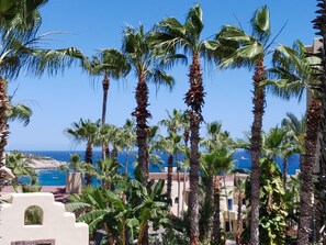 Property grounds - Great Family/Friends Getaway (Cabo San Lucas)