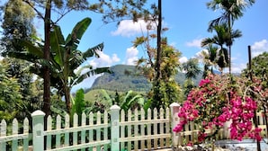 Un jardín exuberante con cerca de piquetes blancos, árboles de plátano y flores de buganvilla rosadas.