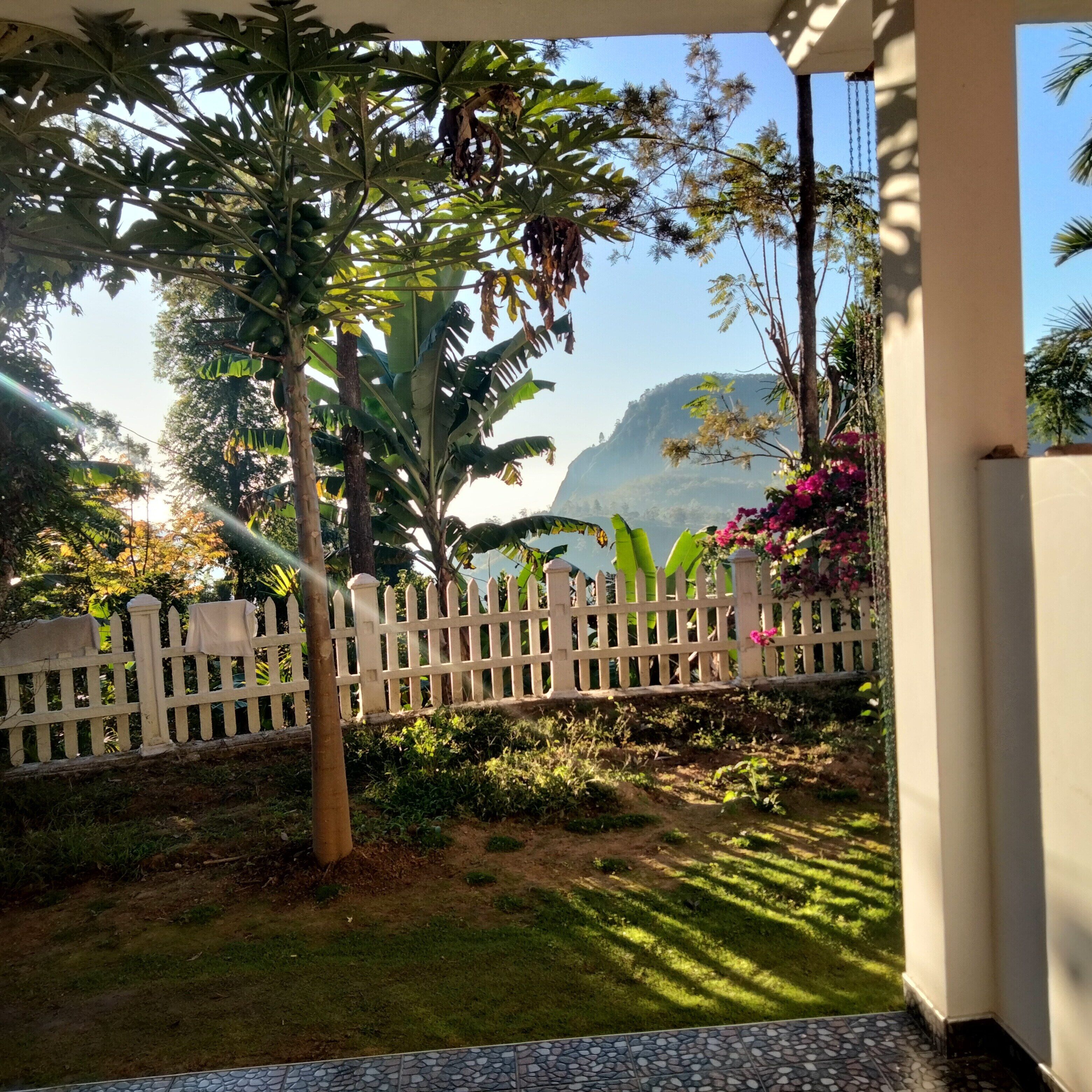 Pemandangan dari kamar