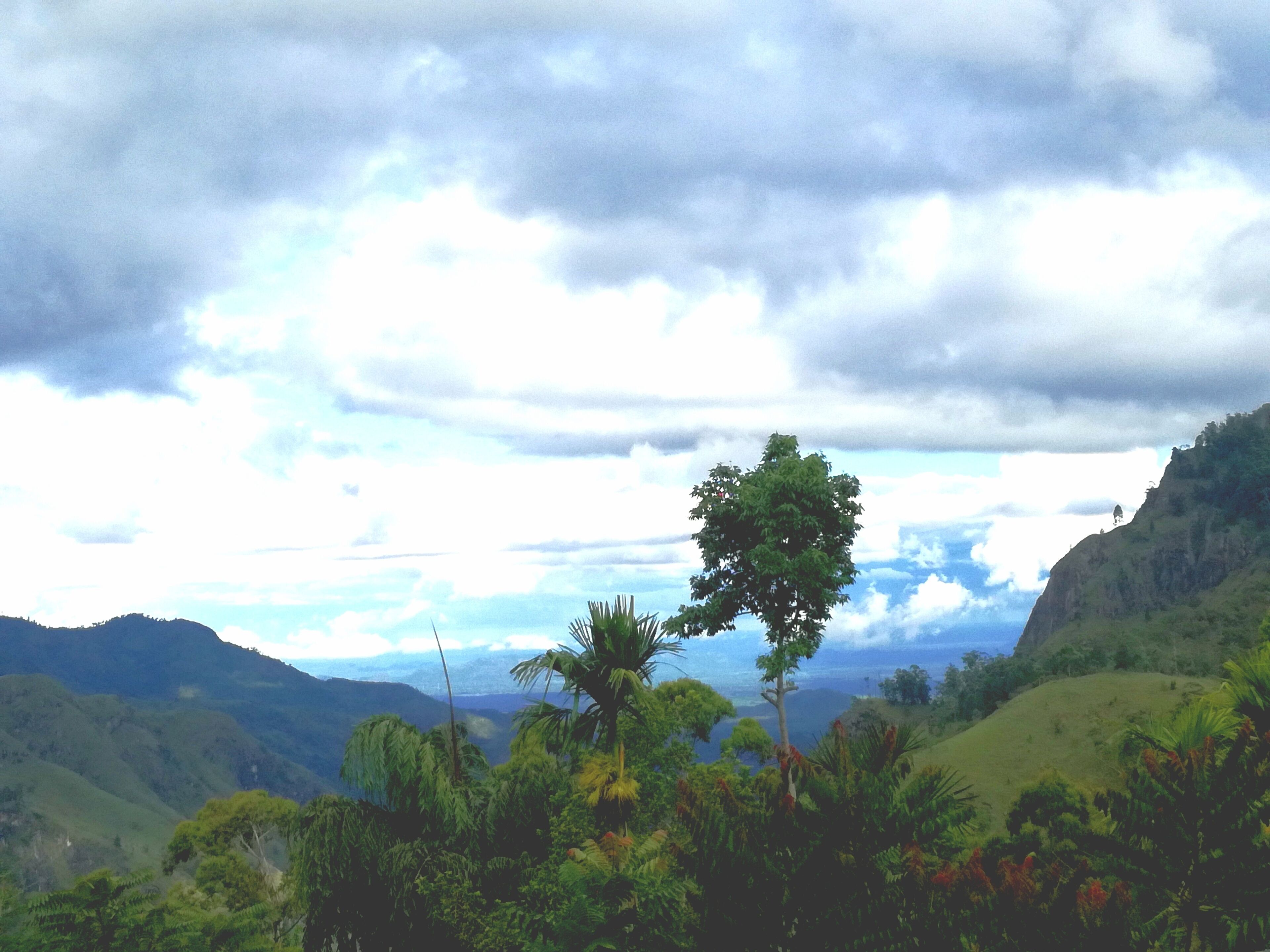 A mountainous landscape with lush greenery and a clear sky.