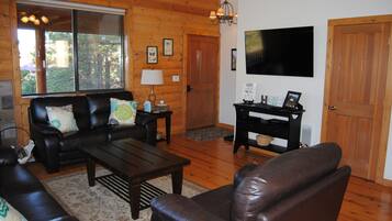 Smart TV, fireplace, DVD player, books