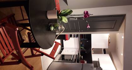 Appartement 42 m2 cosy proche Disney et Paris-CDG