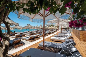 A beachside lounge area with rows of sunbeds and thatched umbrellas.