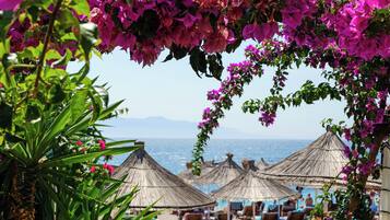 Bar (på overnattingsstedet)