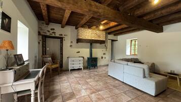 Televisión de pantalla plana, chimenea, reproductor de DVD